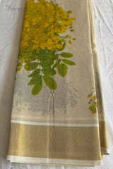 Saree (SAR-541)