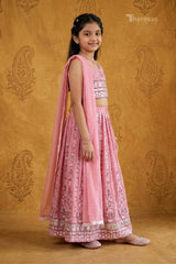 Designer Dress (DDS-026)