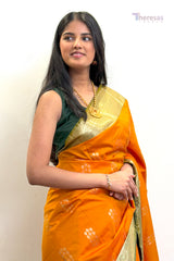 Saree (SAR-484)