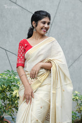 Saree (SAR-619)