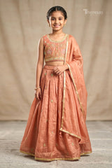 Designer Dress (DDS-028)