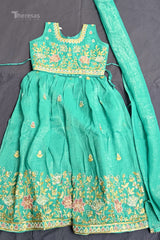 Designer Dress (DDS-029)