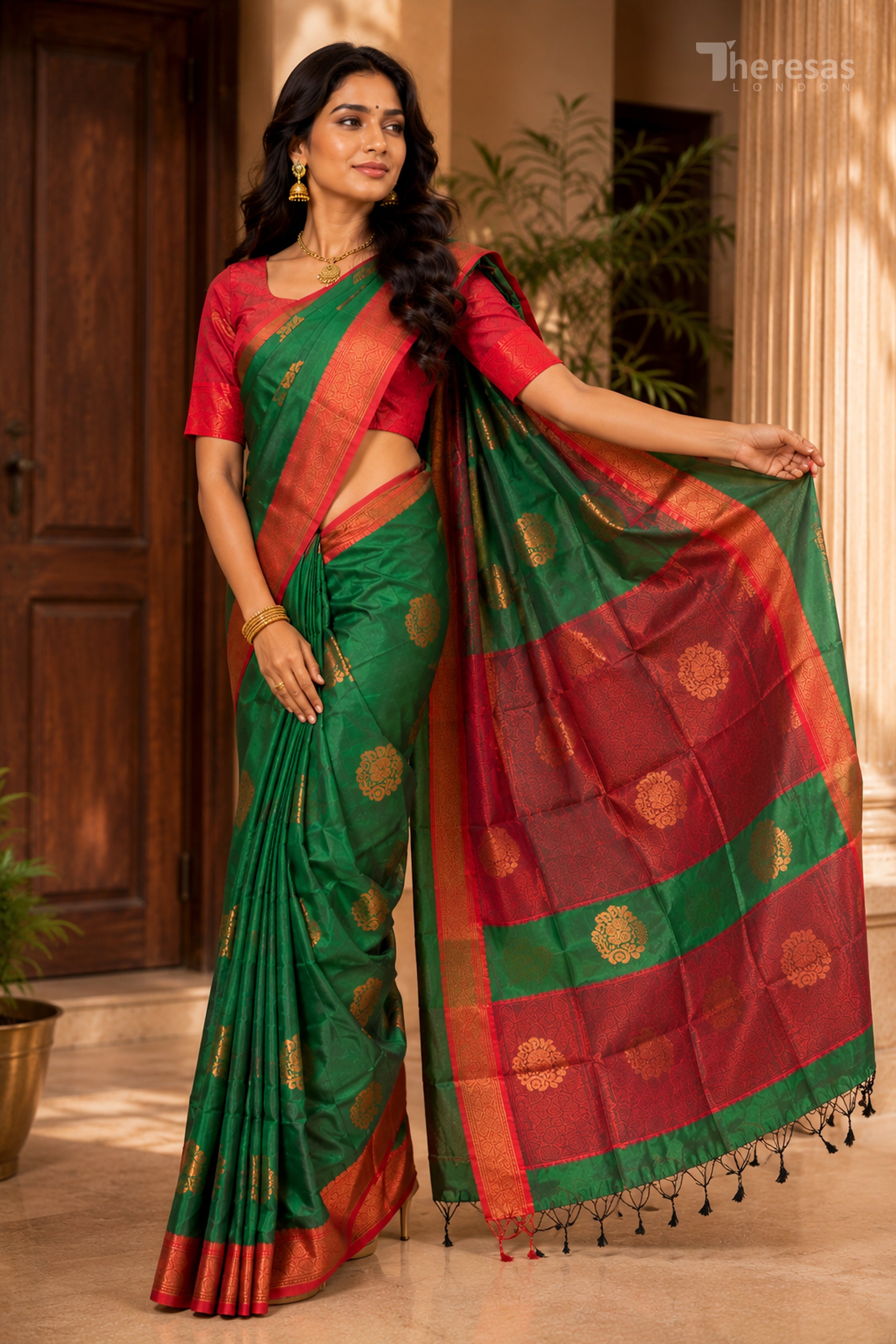 Saree with Blouse (SAR-500)