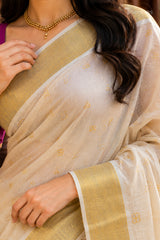 Saree (SAR-506)