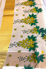 Saree (SAR-517)