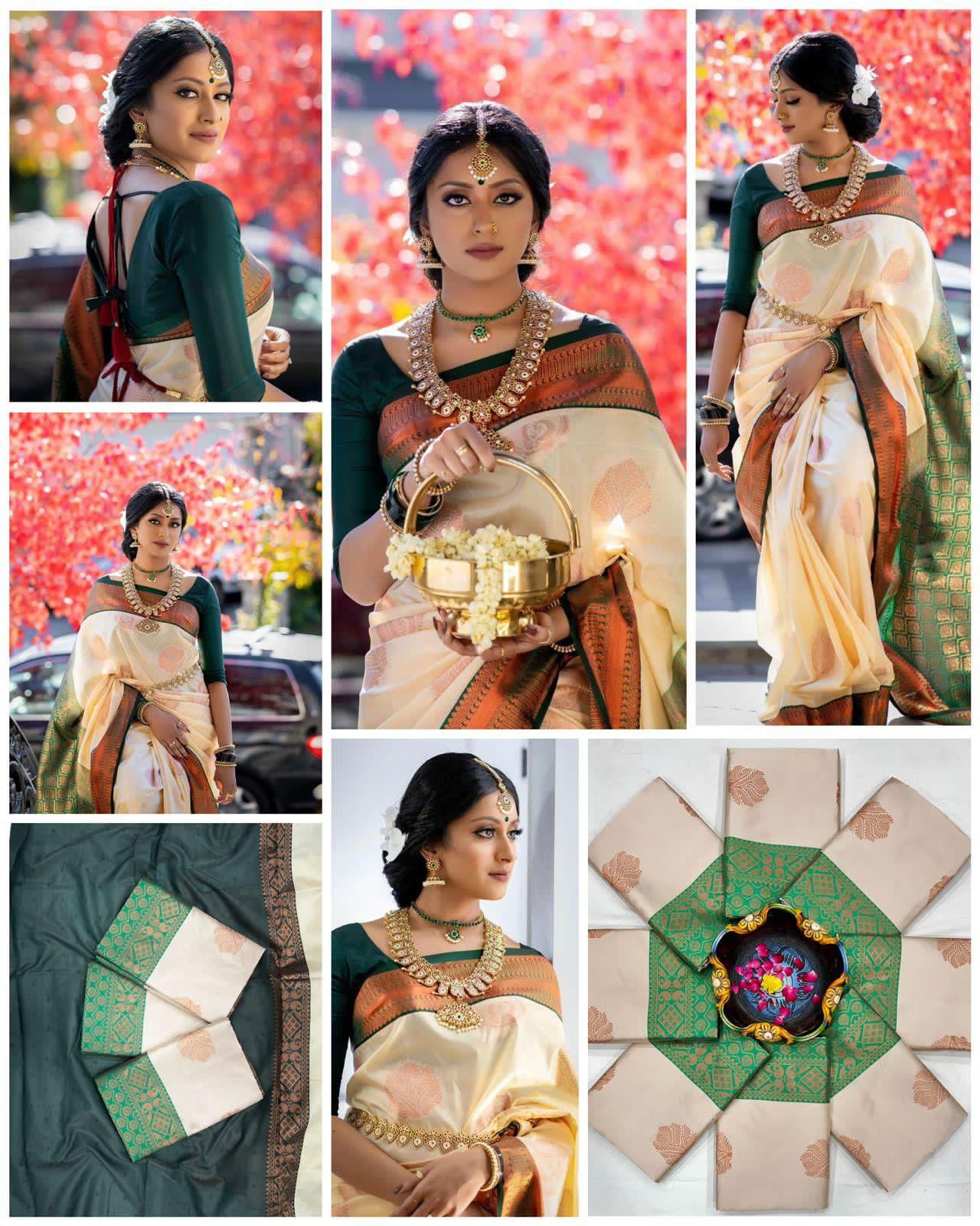 Patta  Saree (SAR-241)