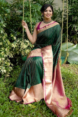 Patta  Saree (SAR-242)